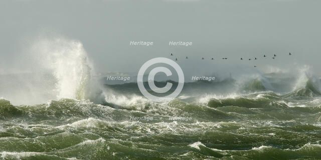 Crossing The Bar. Creator: Eve Turek.