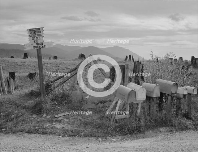 Crossroads off the highway in cut-over area, Boundary County, Idaho, 1939. Creator: Dorothea Lange.