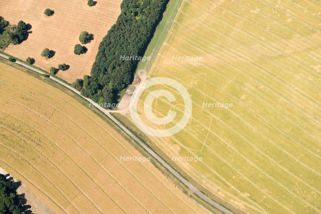 Crop mark of a possible Iron Age settlement in the form of a banjo enclosure, West Berkshire, 2018. Creator: Damian Grady.
