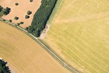 Crop mark of a possible Iron Age settlement in the form of a banjo enclosure, West Berkshire, 2018. Creator: Damian Grady