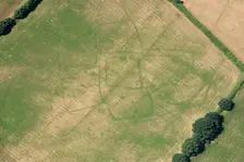 Crop marks of a probable prehistoric or Roman settlement, near Bicton, Devon, 2018. Creator: Historic England Staff Photographer