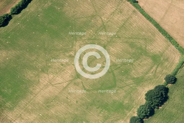 Crop marks of a probable prehistoric or Roman settlement, near Bicton, Devon, 2018. Creator: Historic England Staff Photographer.