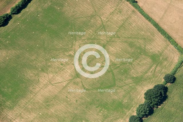 Crop marks of a probable prehistoric or Roman settlement, near Bicton, Devon, 2018. Creator: Historic England Staff Photographer.
