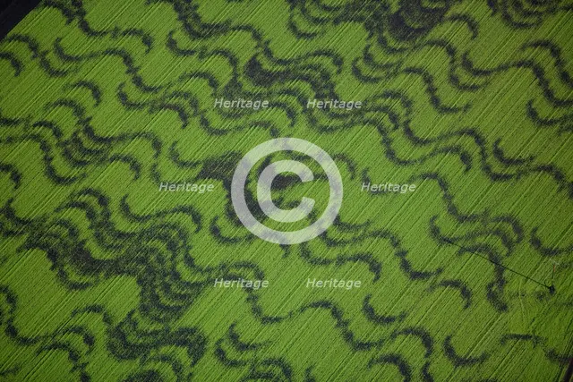 Crop patterns in fields near Ely, Cambridgeshire, 2008. Artist: Historic England Staff Photographer.