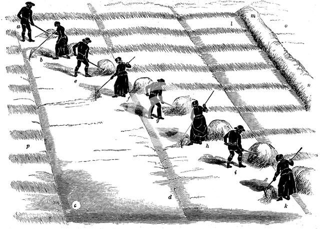 Crop rotation: haymaking, 1855. Artist: Unknown