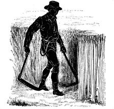 Crop rotation: reaping with a Hainault Scythe, 1855