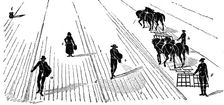 Crop rotation: sowing and harrowing corn, 1855