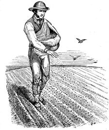 Crop rotation: sowing seed broadcast, 1855