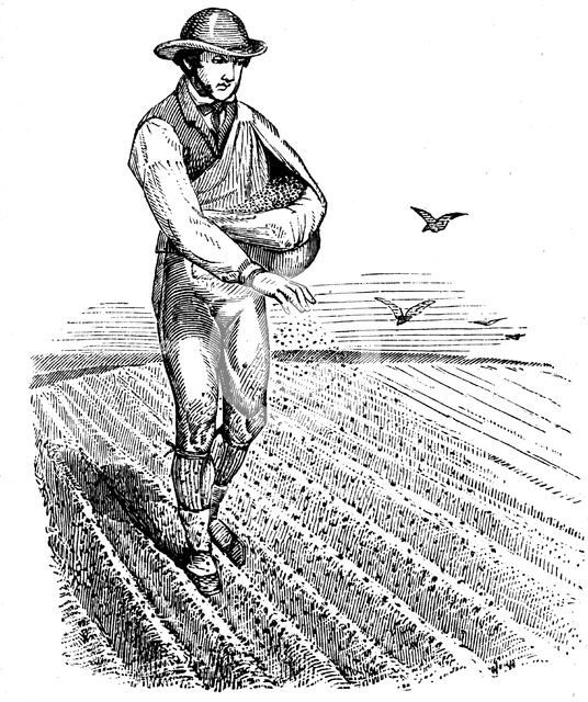 Crop rotation: sowing seed broadcast, 1855. Artist: Unknown