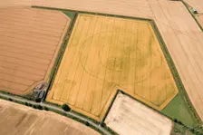 Cropmark remains of a large sub-circular enclosure, Oxfordshire, 2017. Creator: Damian Grady