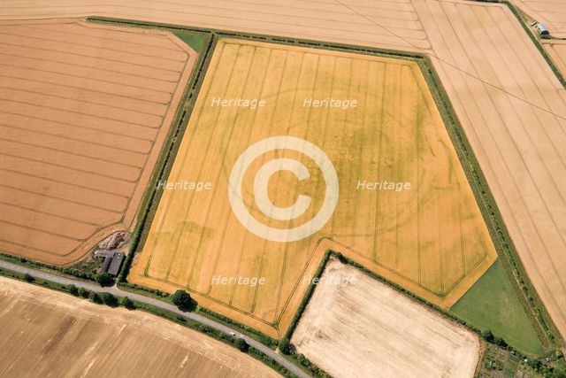 Cropmark remains of a large sub-circular enclosure, Oxfordshire, 2017. Creator: Damian Grady.