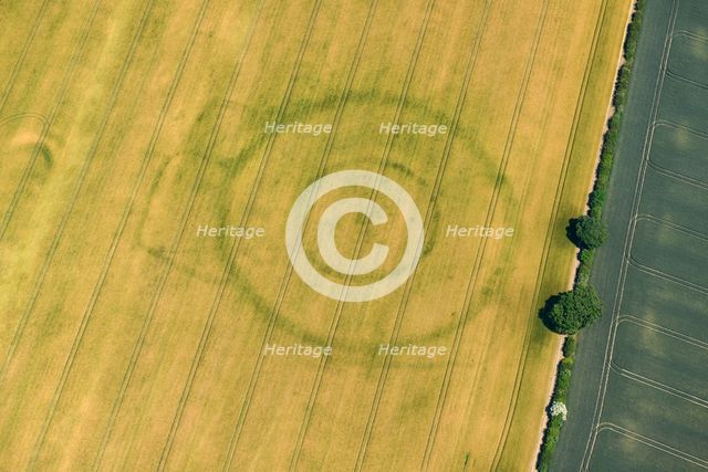 Cropmarks of a Neolithic henge and later enclosures at Paddock Hill, East Riding of Yorkshire, 2022. Creator: Emma Trevarthen.