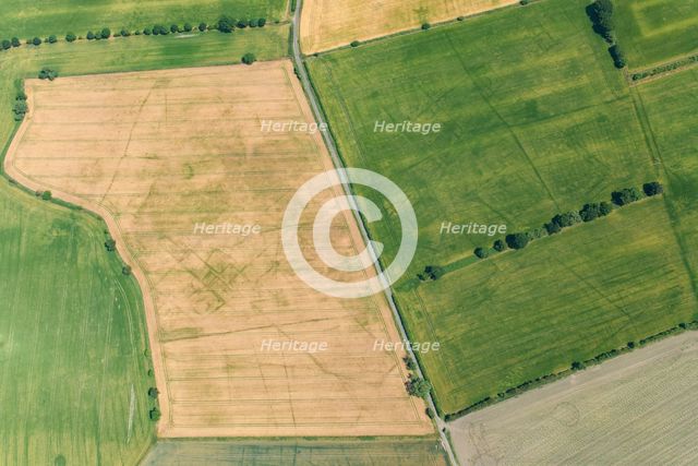 Cropmarks of an Iron Age or Roman field system and settlement near South Duffield, North Yorks, 2022 Creator: Robyn Andrews.