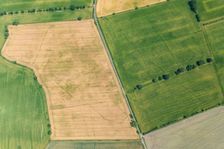 Cropmarks of an Iron Age or Roman field system and settlement near South Duffield, North Yorks, 2022 Creator: Robyn Andrews