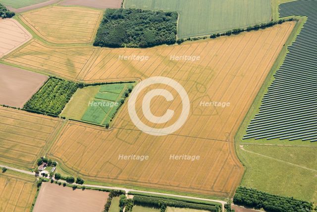 Cropmarks of an Iron Age and/or Roman settlement, Bedford, 2017. Creator: Damian Grady.