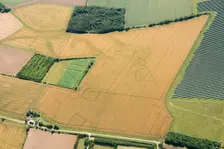Cropmarks of an Iron Age and/or Roman settlement, Bedford, 2017. Creator: Damian Grady