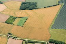 Cropmarks of an Iron Age and/or Roman settlement, Bedford, 2017. Creator: Damian Grady