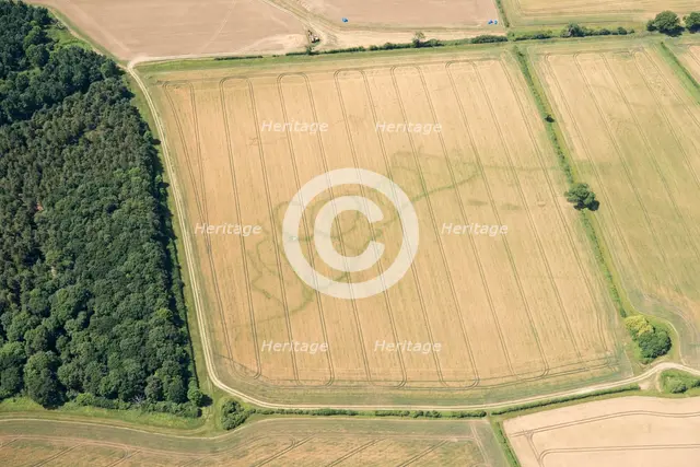 Cropmarks of an Iron Age and Roman settlement, West Northamptonshire, 2017. Creator: Damian Grady.