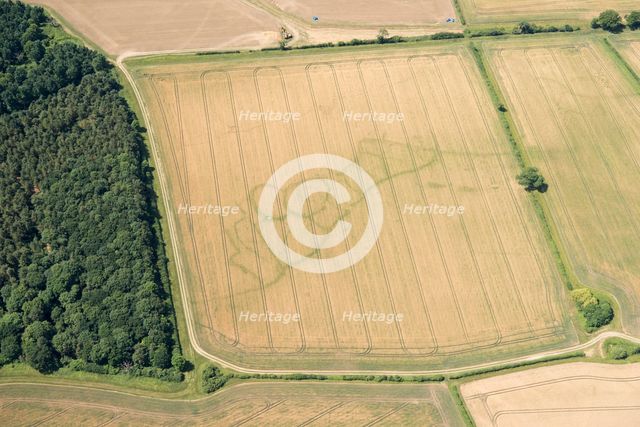 Cropmarks of an Iron Age and Roman settlement, West Northamptonshire, 2017. Creator: Damian Grady.