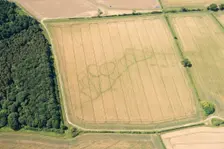 Cropmarks of an Iron Age and Roman settlement, West Northamptonshire, 2017. Creator: Damian Grady