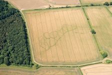 Cropmarks of an Iron Age and Roman settlement, West Northamptonshire, 2017. Creator: Damian Grady