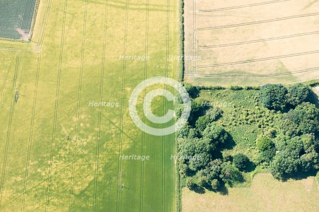 Cropmarks of Iron Age burial sites on the Yorkshire Wolds, East Riding of Yorkshire, 2018. Creator: Historic England Staff Photographer.