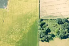 Cropmarks of Iron Age burial sites on the Yorkshire Wolds, East Riding of Yorkshire, 2018. Creator: Historic England Staff Photographer