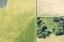 Cropmarks of Iron Age burial sites on the Yorkshire Wolds, East Riding of Yorkshire, 2018. Creator: Historic England Staff Photographer
