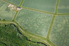 Cropmarks, Kempsford, Gloucestershire, 2015. Creator: Damian Grady