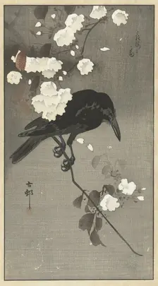 Crow with cherry blossom. Creator: Ohara, Koson (1877-1945)