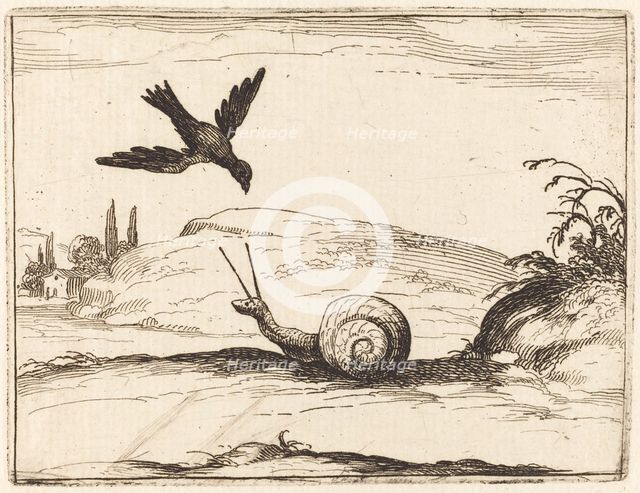Crow and Snail, 1628. Creator: Jacques Callot.