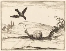 Crow and Snail, 1628. Creator: Jacques Callot