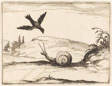 Crow and Snail, 1628. Creator: Jacques Callot