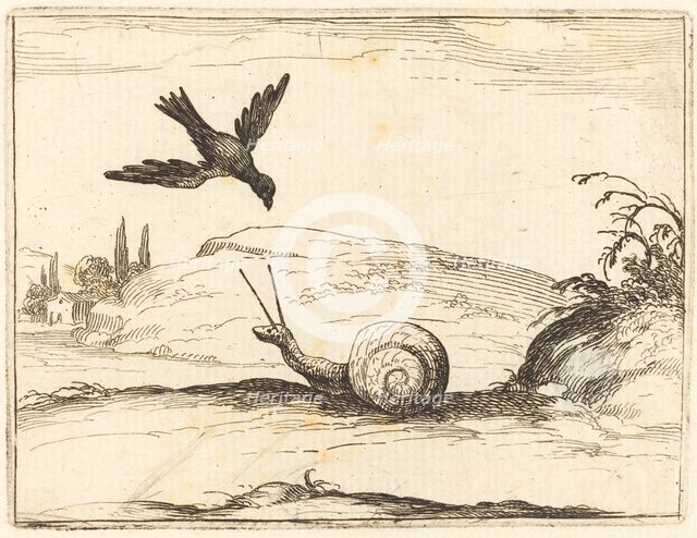 Crow and Snail, 1628. Creator: Jacques Callot.