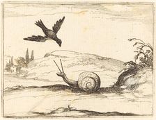 Crow and Snail, 1628. Creator: Jacques Callot