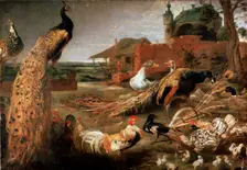 Crow in Peacock's Fathers c1615-1690. Artist: Pauwel de Vos