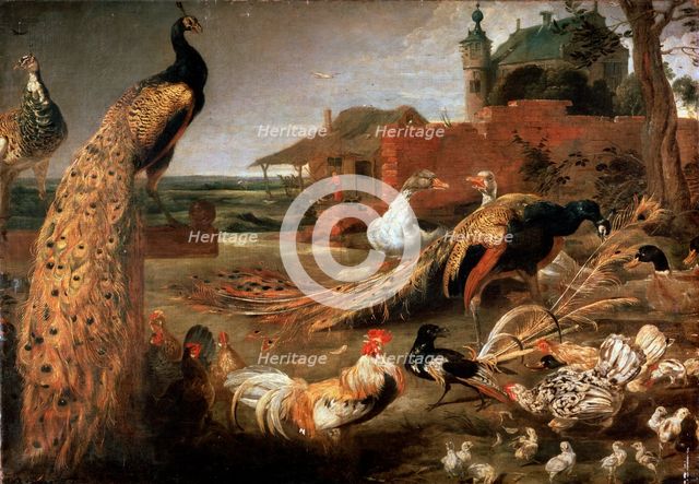 'Crow in Peacock's Fathers', c1615-1690. Artist: Pauwel de Vos