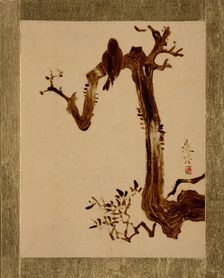 Crow on Tree. Creator: Shibata Zeshin
