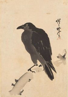 Crow on a Branch, c 1870. Creator: Kyosai, Kawanabe
