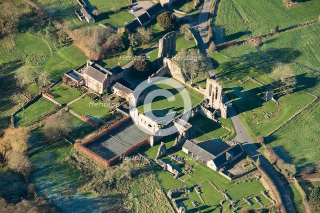 Croxden Abbey, Staffordshire, 2016. Artist: Damian Grady.