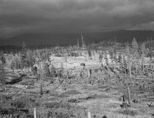 Cut-over landscape, approaching winter rain, showing settler's..., Boundary County, Idaho, 1939. Creator: Dorothea Lange