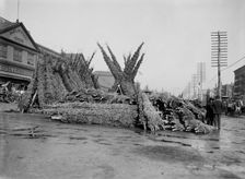 Cut Christmas trees, market in front of Barclay Street Station, N.Y., between 1885 and 1895. Creator: Unknown