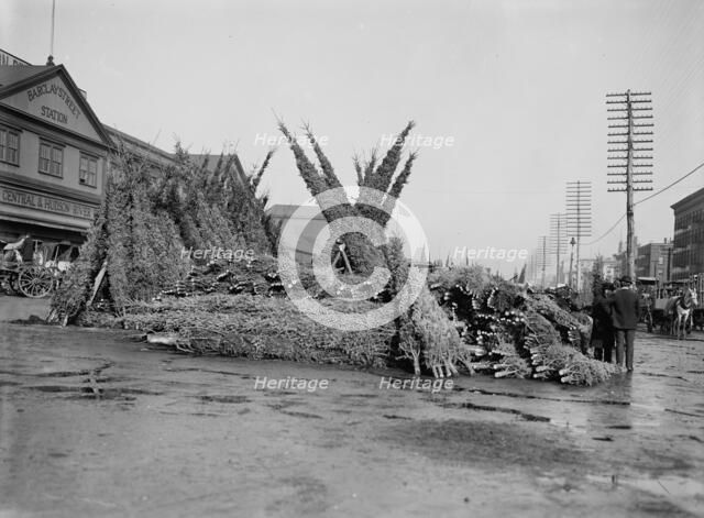 Cut Christmas trees, market in front of Barclay Street Station, N.Y., between 1885 and 1895. Creator: Unknown.