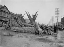 Cut Christmas trees, market in front of Barclay Street Station, N.Y., between 1885 and 1895. Creator: Unknown
