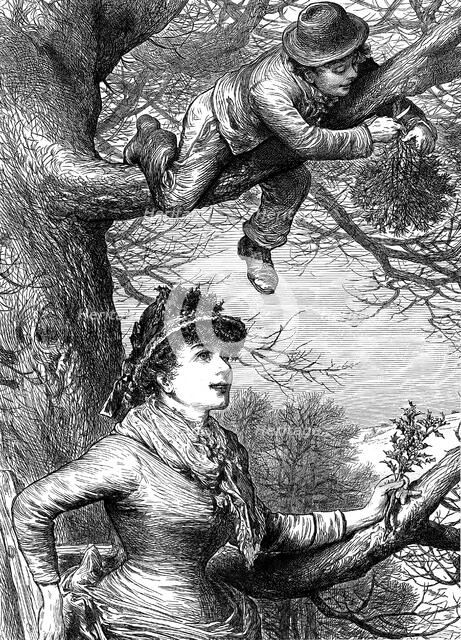 Cutting the Mistletoe Bough for Christmas decoration, 1886. Artist: Unknown