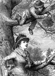 Cutting the Mistletoe Bough for Christmas decoration, 1886
