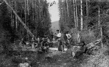 Cutting Through the Woods, 1913. Creator: GI Ivanov