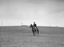 Cutting hunt, 1933 Nov. Creator: Arnold Genthe