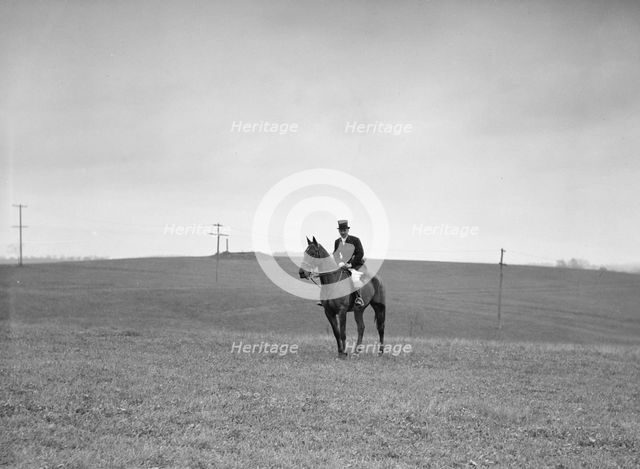 Cutting hunt, 1933 Nov. Creator: Arnold Genthe.