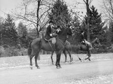 Cutting hunt, 1933 Nov. Creator: Arnold Genthe